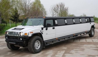 Арт. P2024