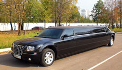 № 501