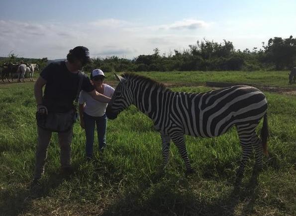 Пятую годовщину свадьбы Доэрти и Исваренко отметили в Мексики Пятую годовщину свадьбы Доэрти и Исваренко отметили в Мексики