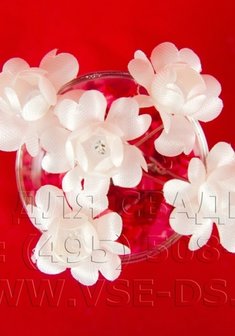 Шпилька 116-005-В13039