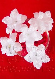 Шпилька 116-005-В13042