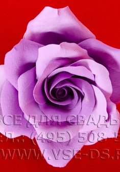 Украшение 116-058-В13074