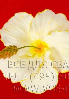 Украшение 116-059-В13075