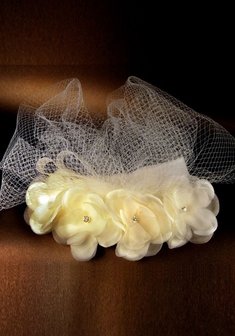 Вуалетка Т6072-R43939