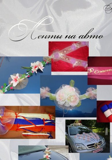 ленты на авто B17260 - Салон аксессуаров Bellissimo