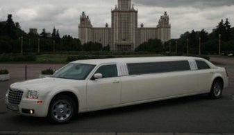 Арт. L3295