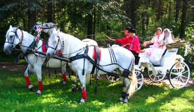 Лимузин на свадьбу № З4309 - Компания Золотая подкова