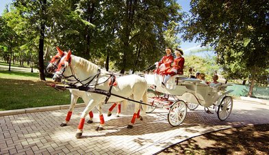 Лимузин на свадьбу № З4311 - Компания Золотая подкова