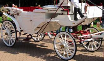 Компания Золотая подкова