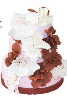 «Шоколадный»