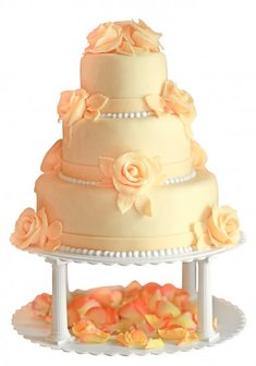 «Чайная роза»