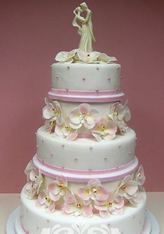 «Свадебные орхидеи»