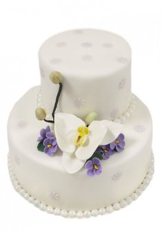 «Сладкий романс»