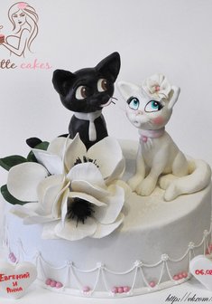 «Коты, анемоны»