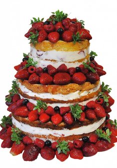 «Ягодная поляна»