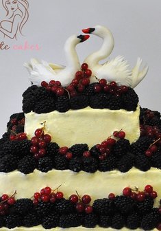 «Торт с ежевикой/малиной»