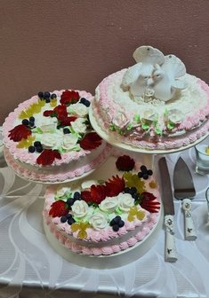 «Свадебные голуби»