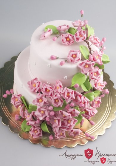 Свадебный торт НЕЖНОЕ ЦВЕТЕНИЕ (Л106752) - компания Лимузин Престиж