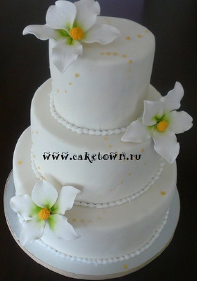 Торт на свадьбу C54637 - Торты на заказ CAKETOWN.RU
