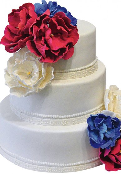 Свадебный торт Триколор (C65282) - Компания Colette Cakes