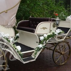 Арт. М1358
