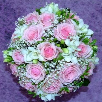 1-9 A10124 - Компания ALFA LIMO