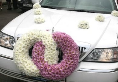 4-42 A10135 - Компания ALFA LIMO