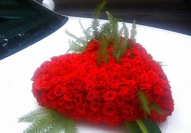 4-59 A10136 - Компания ALFA LIMO