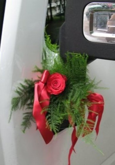 4-96 A10138 - Компания ALFA LIMO