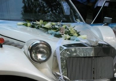 4-81 A10140 - Компания ALFA LIMO