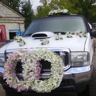 4-48 A10148 - Компания ALFA LIMO