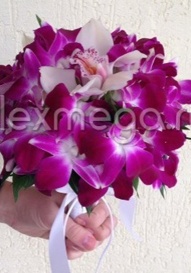 AL-288 A10196 - Мастерская флористики Alex & Mega Group