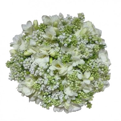 i107 A1169 - Мастерская флористики Alex & Mega Group