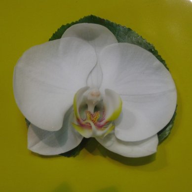 Бутоньерка М1348 - Салон цветов Мастерская современной флористики