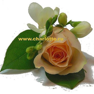 Бутоньерка Ф2310 - Цветочный салон Флорагранд.ру