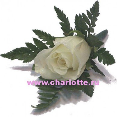 Бутоньерка Ф2316 - Цветочный салон Флорагранд.ру