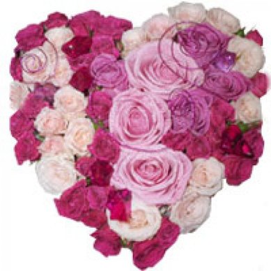 Сердце из живых роз Б3884 - Группа компаний Бизнес-Букет
