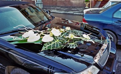 Цветочная композиция P497 - Флористическая мастерская Petite Fleur