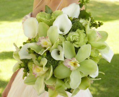 Букет Ц633 - Салон цветов Цветочная кухня