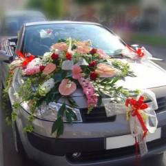 Компания ALFA LIMO