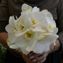 Салон цветов Гармония Флора