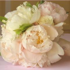 Салон цветов Цветочная кухня