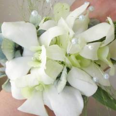 Салон цветов Тюльпан