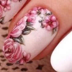 Олейник Елена