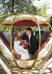  Признание (С12129)