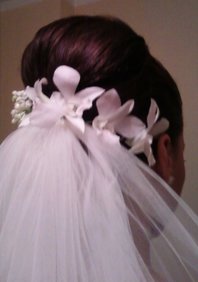  Чистый свет (С14105)