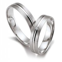 Арт. NS-0008-И13976