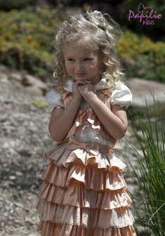 Арт. K-118-Р10586