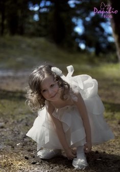 Арт. K-121-Р10589