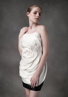 Арт. Clare-W14231